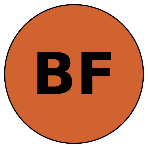 BeliefFit