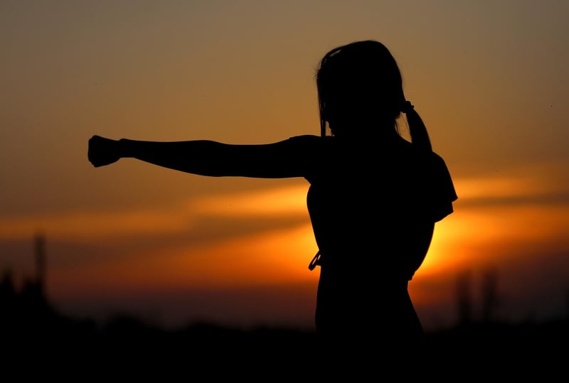 Sun Style Tai Chi